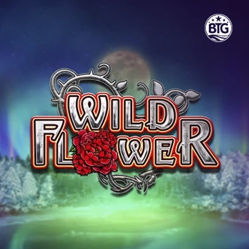 Bigtime : Wild Flower - HEROBET168